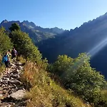 Breza * Wysokie Tatry