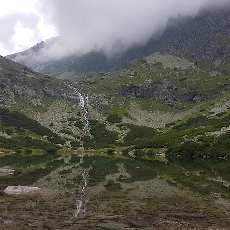 Breza * Vysoké Tatry
