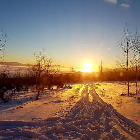 Breza * Vysoké Tatry