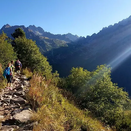 Breza * Vysoké Tatry