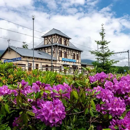 Breza * Vysoké Tatry