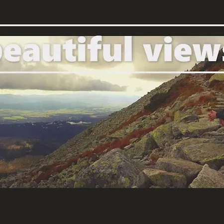 Breza * Vysoké Tatry