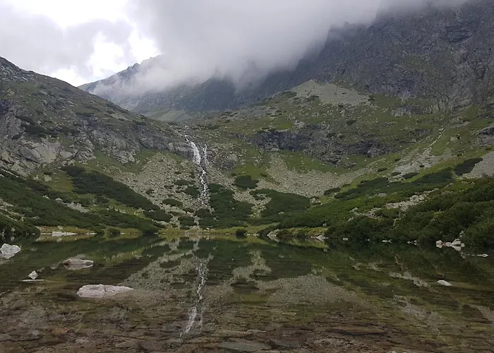 Breza * Vysoké Tatry