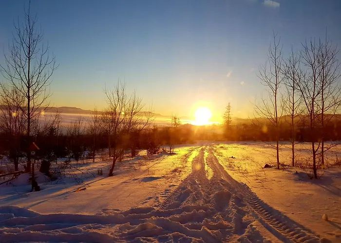 Breza * Vysoké Tatry