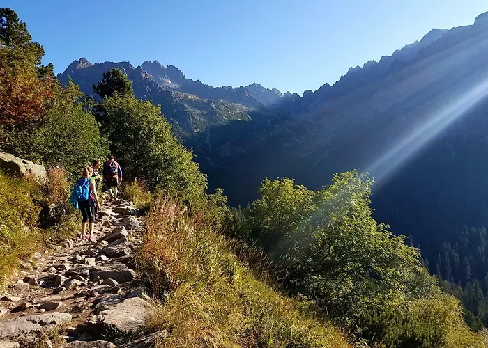 Breza * Vysoké Tatry