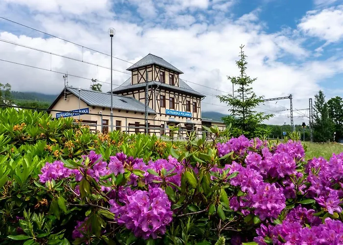 Breza * Vysoké Tatry